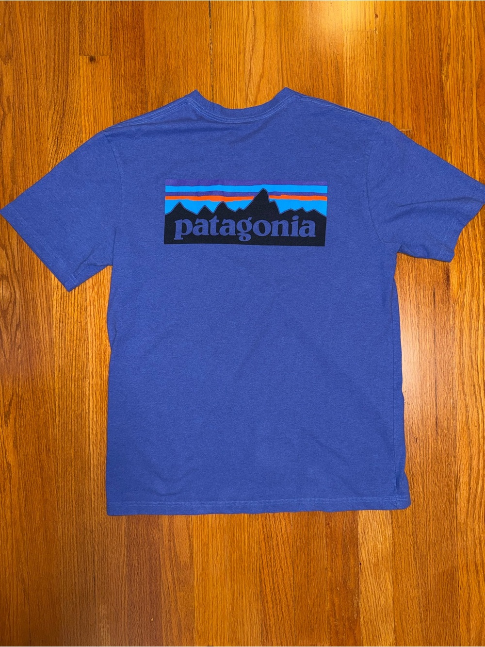 Patagonia Men's Classic Logo Responsibili-Tee T-Shirt in Purple Size M